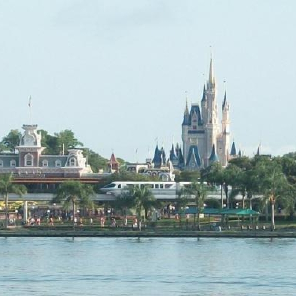 Walt Disney World International College Programı 2008-2012