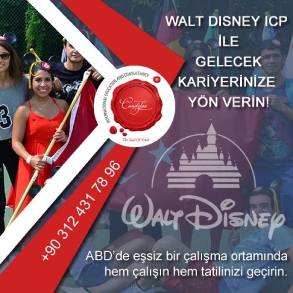Walt Disney World International College Programı 2015-2016