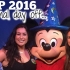 Walt Disney ICP Program